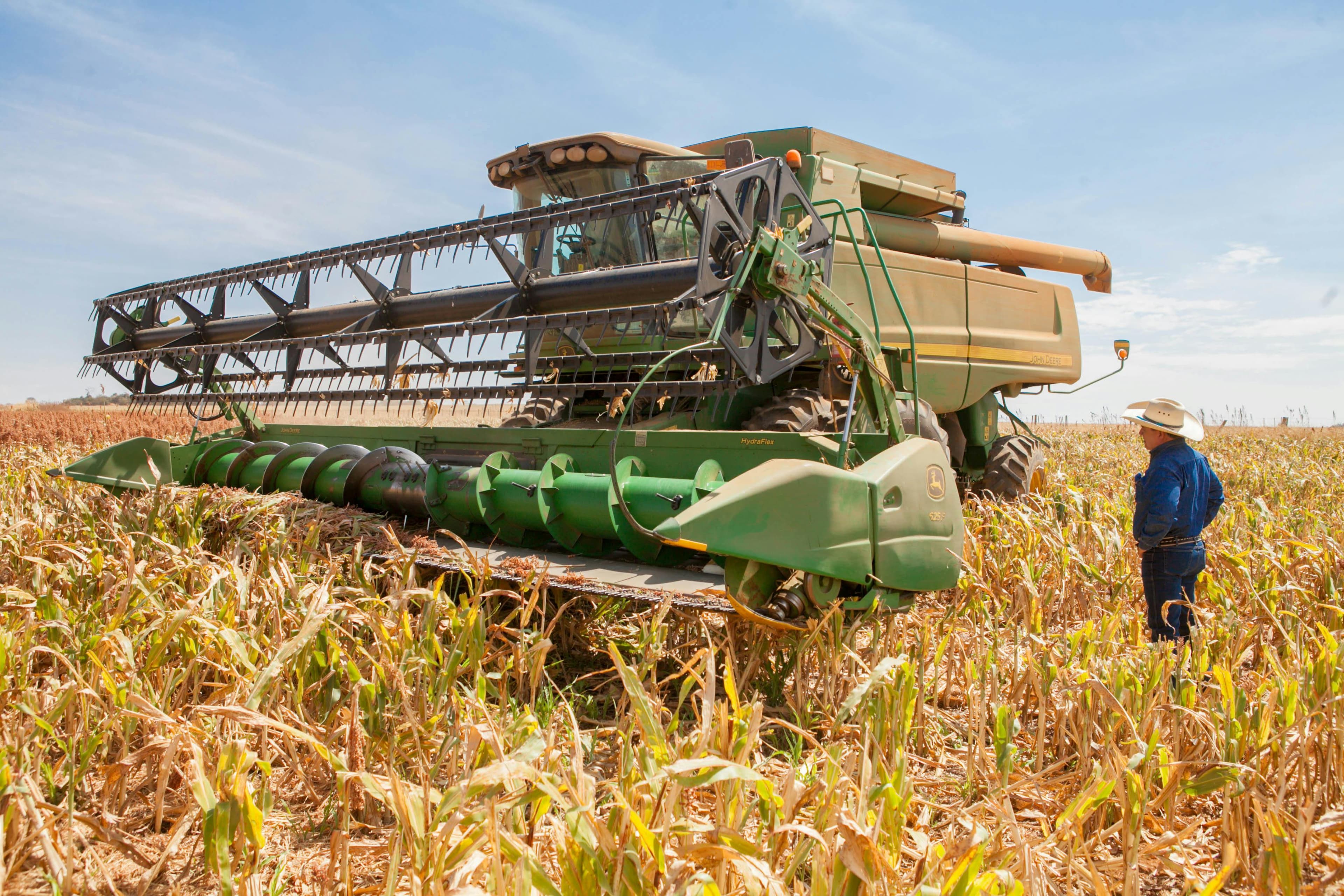 AI analyzing farm data