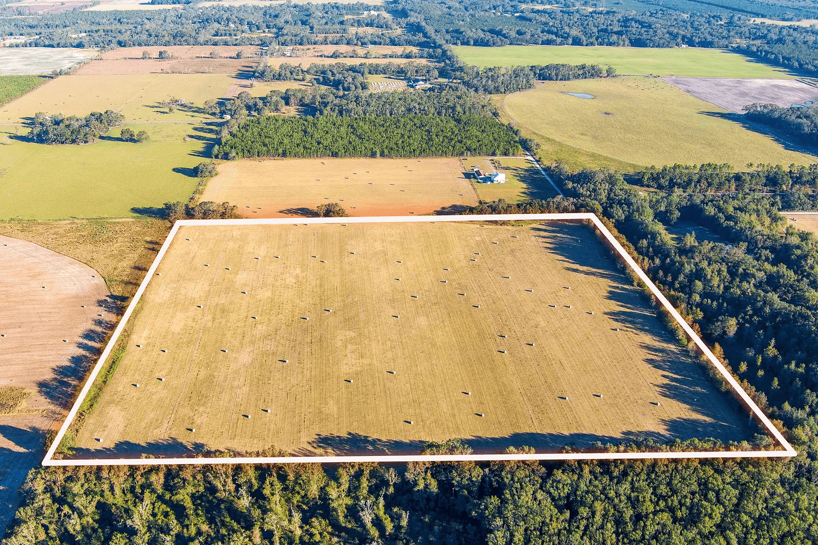 40 Acres Farmland for Lease